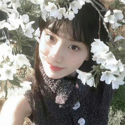 珍禽假意